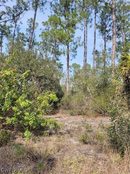 7620 19th Place, Fort Denaud, FL 33935