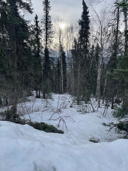 NHN Himilaya Rd, Fairbanks, AK 99712