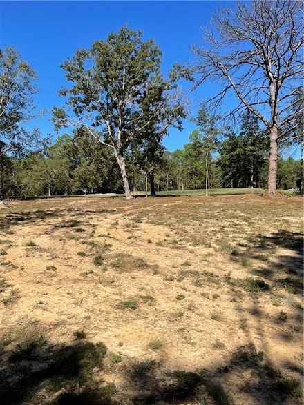 10805 Mitt Dr, Citronelle, AL 36522