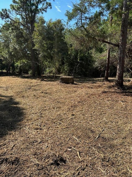 2601 Oak St, Carrabelle, FL 32322