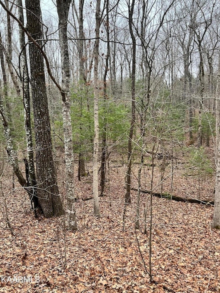 230 Saint George Dr, Crossville, TN 38558