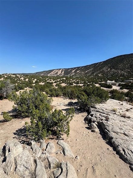 00 Cedar Ridge Loop Lava Rd, Ojo Caliente, NM 87549