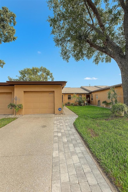 6206 Pina Colada Ct, Tampa, FL 33634