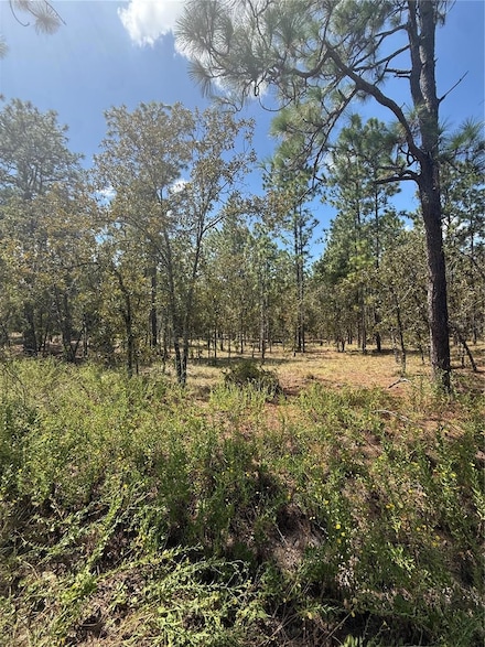 0 NW Ridgewood Rd Unit MFRO6344860, Dunnellon, FL 34431