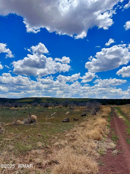 13 County Rd, Concho, AZ 85924