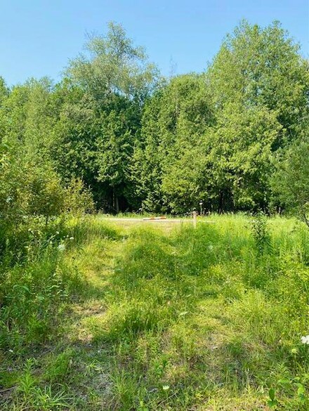 2044 County Road 393, Pentland Township, MI 49868