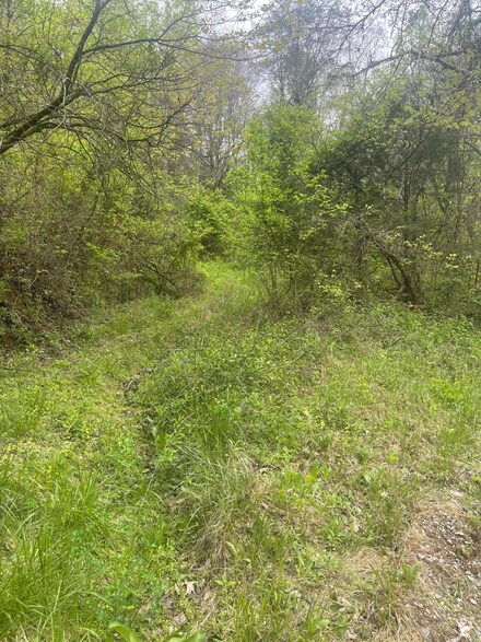 Lot 6 Talley Rd, Parrottsville, TN 37843