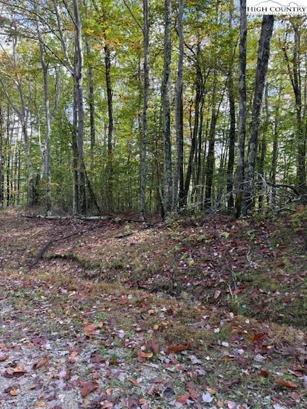 44 Buckeye Ridge Rd, Banner Elk, NC 28604