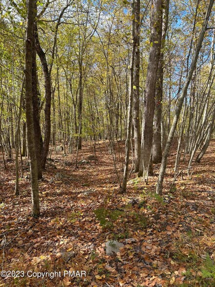 6110 Black Bear Rd, Price Township, PA 18326