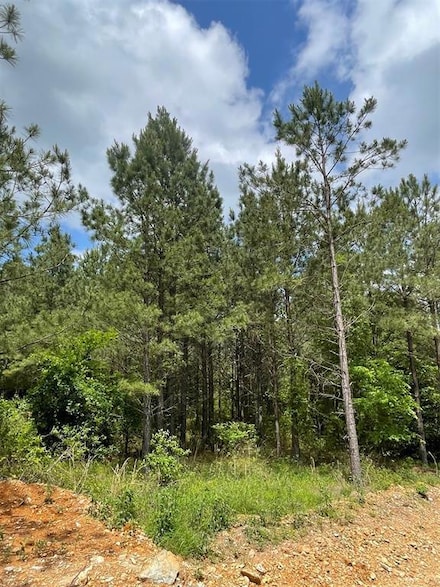 697 Timber Creek Trails South Xl, Broken Bow, OK 74728