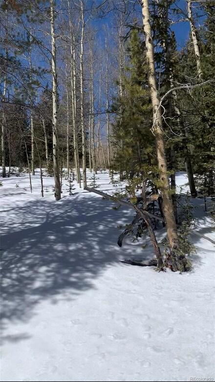 000 Forest Service (Farewell Mine) Rd, Idaho Springs, CO 80452