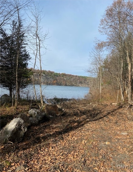 0 Co Route 22 Unit S1565499, Antwerp, NY 13691