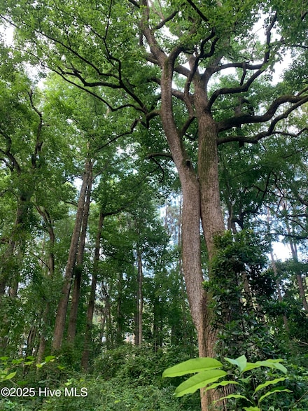 52 Skye Dr, Southern Pines, NC 28387