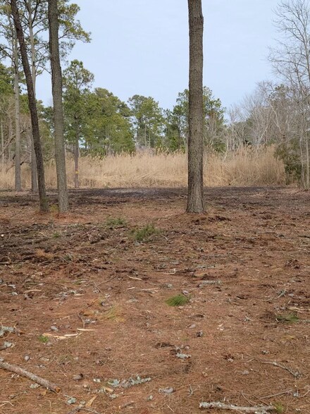 LOT 17A Wayne Rd Unit 17A, Chincoteague, VA 23336