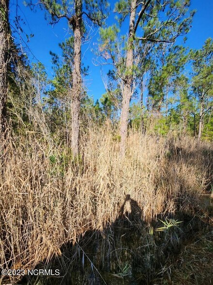 00 Hobucken School Rd, Hobucken, NC 28537