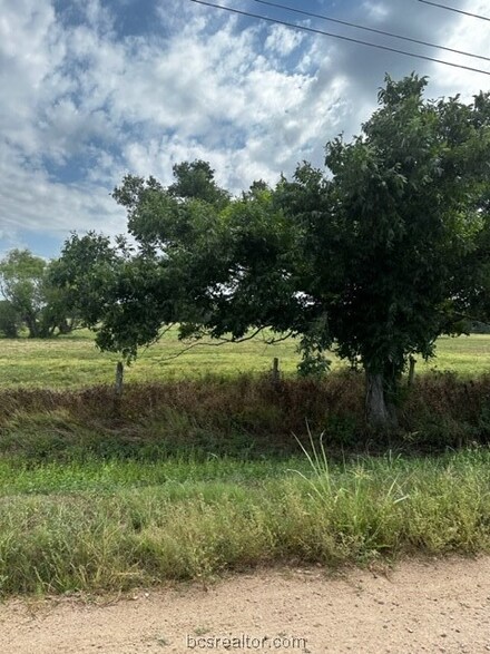 Tract 6 County Road 240, Other, TX 77434