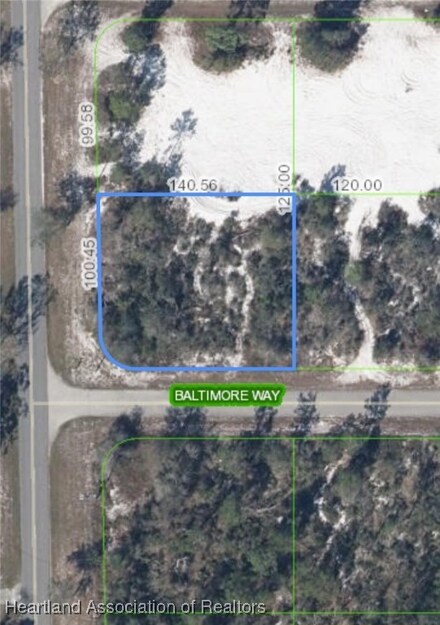 100 Baltimore Way NE, Lake Placid, FL 33852