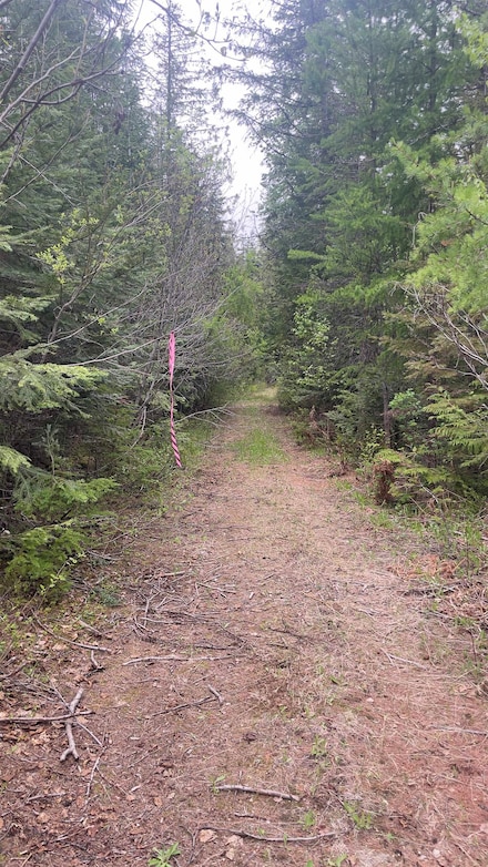 3084 Sicley Rd, Cusick, WA 99119