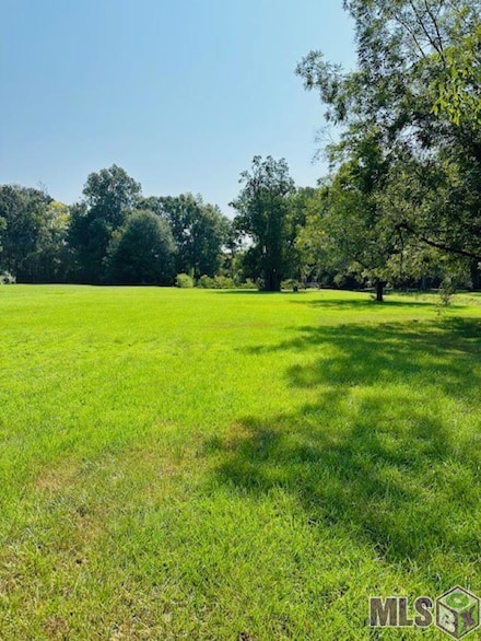 27162 Hagen Dr, Slaughter, LA 70777
