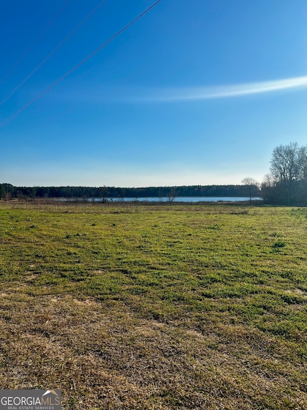 0 Mt Olive Unit 10469408, Dublin, GA 31021