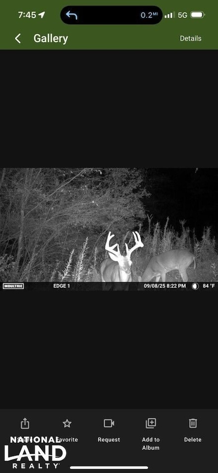 0 Souls Chapel Rd Unit 24634253, Blountsville, AL 35031