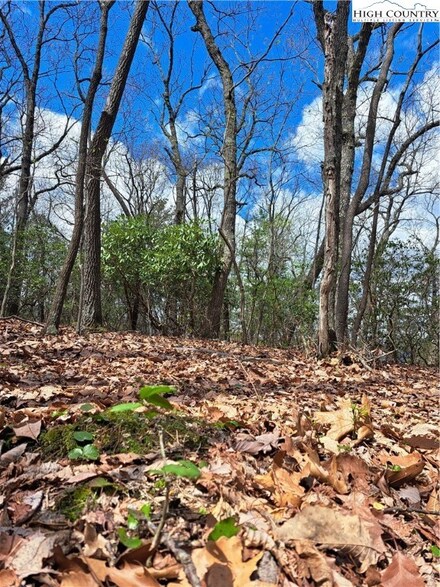 TBD Mountain View Dr, Mount Airy, NC 27024
