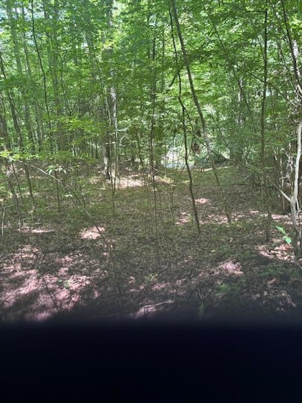 00 MacS Mountain Retreat Ln, Franklin, NC 28734