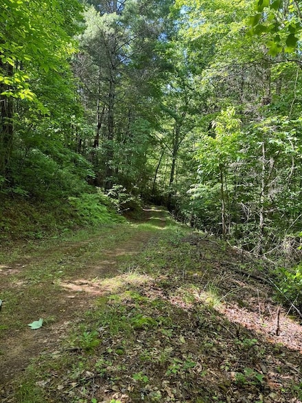 00 John Taylor Rd, Murphy, NC 28906