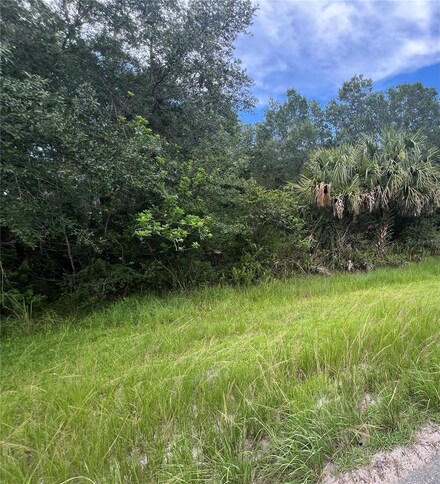 00 Dallas Blvd E, Orlando, FL 32833