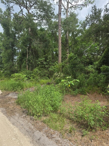 1650 SE 178th Ln, The Villages, FL 34491