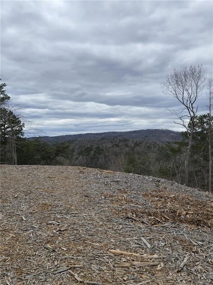 0 Canoe Way Unit 7545157, Talking Rock, GA 30175