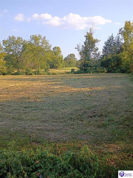 lot 2 B Saint John Rd Unit approx 14175 St John, Rineyville, KY 40162