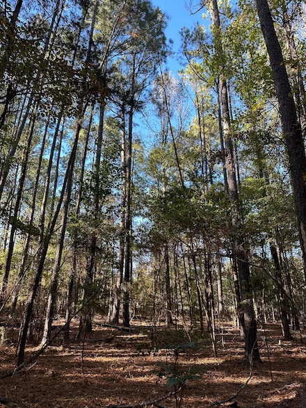 338 Talbert Rd, McCormick, SC 29835