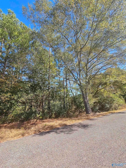 010 County Road 70, Sand Rock, AL 35984