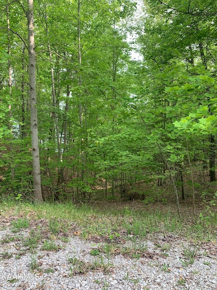 36 Milnor Terrace, Crossville, TN 38558