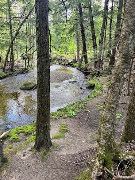 00 Cross Rd, Wentworth, NH 03282