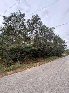 18794 Gooseberry Ln, Porter, TX 77365