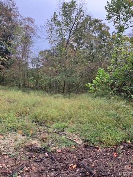 410 Madison St, Fredericktown, MO 63645