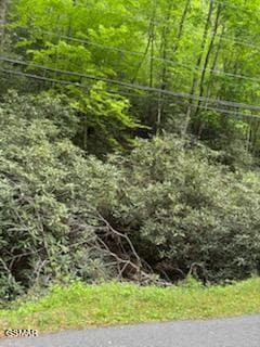 000 Butler Branch Rd, Pittman Center, TN 37738