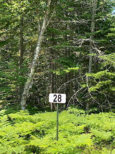 Lot 28 Third Creek Subdivision Unit Lot 28, Paradise, MI 49768