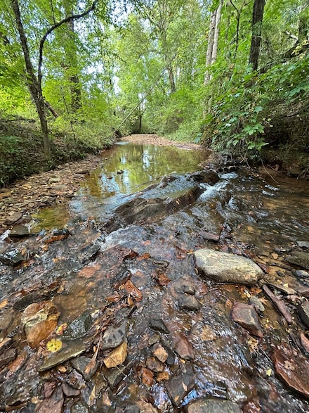 0 Alabama 22 Unit 21544866, New Site, AL 36256