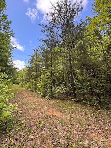 115 Hailees Dr, Marion, NC 28752