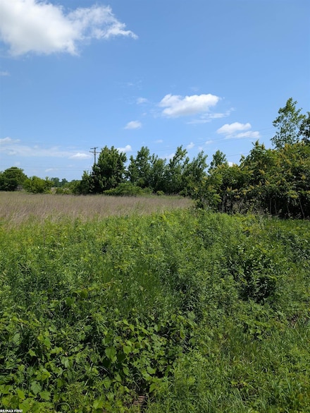 0 Dryden Rd Unit 50179277, Almont, MI 48003