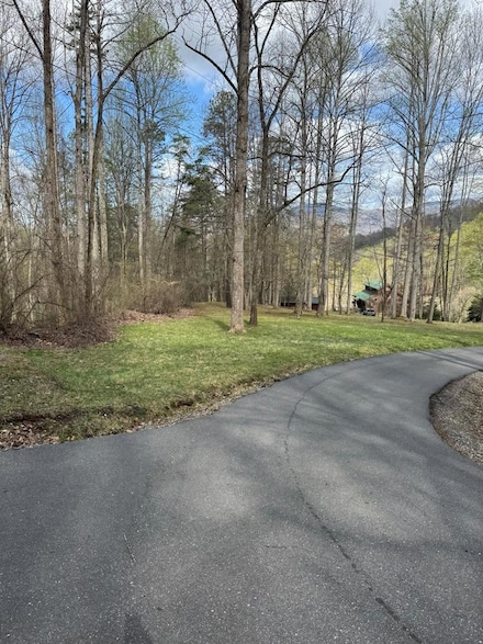 0 E Wabash Dr, Sylva, NC 28779