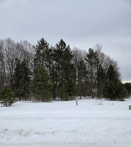 Lot 47 Krystal Meadow Ln, Gaylord, MI 49735