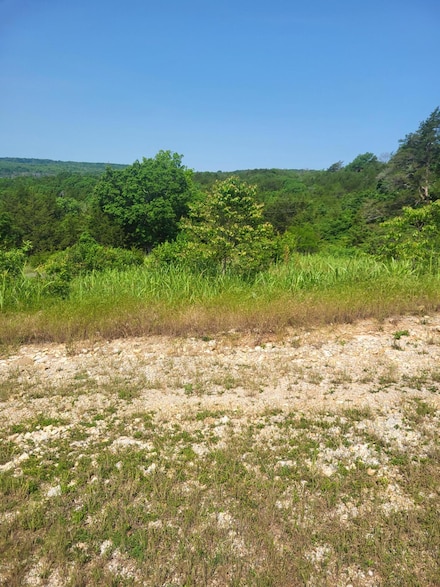 000 Cardinal Dr, Sac Township, MO 65661