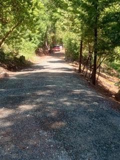 26875 Nobb Hill Ct, Pioneer, CA 95666