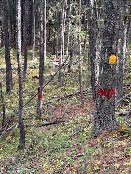 Tbd Granite Creek Rd, Libby, MT 59923