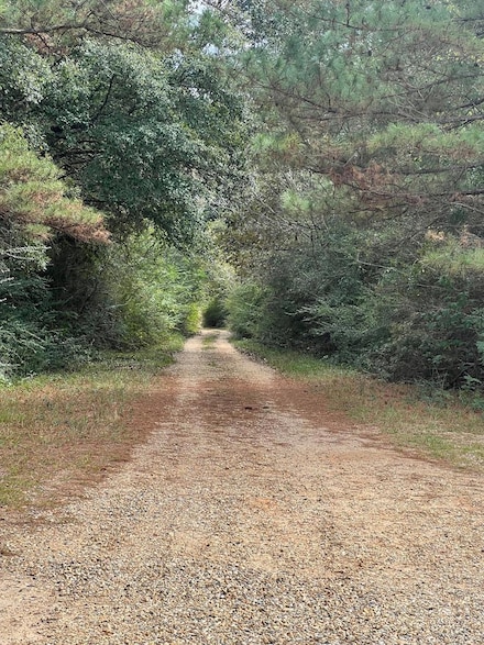 0 Wildwood Dr, Lumberton, MS 39455