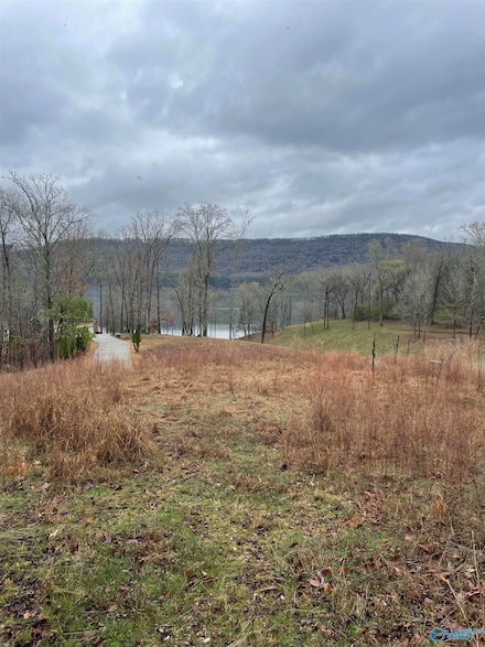 LOT 161 Lookout Mount Dr, Scottsboro, AL 35769